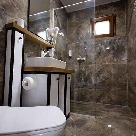 Apartment Sofija Banja Vrujci Gornja Toplica