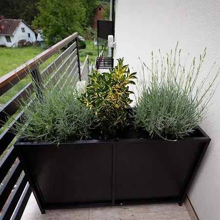 Sofija Banja Vrujci * Gornja Toplica